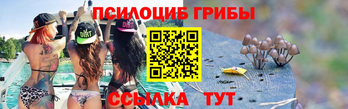 Галлюциногенные грибы MAGIC MUSHROOMS  Псилоцибиновые грибы мицелий  Вход с VPN  цена   Нурлат 