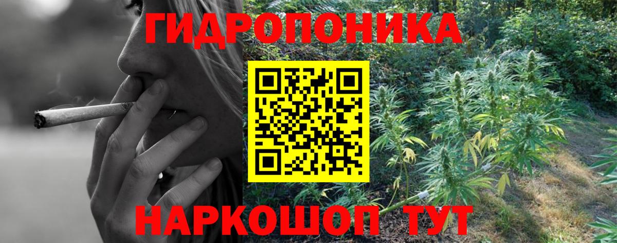 Шишки марихуана OG Kush Нурлат